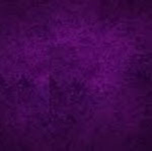 Meet your Posher, Ali